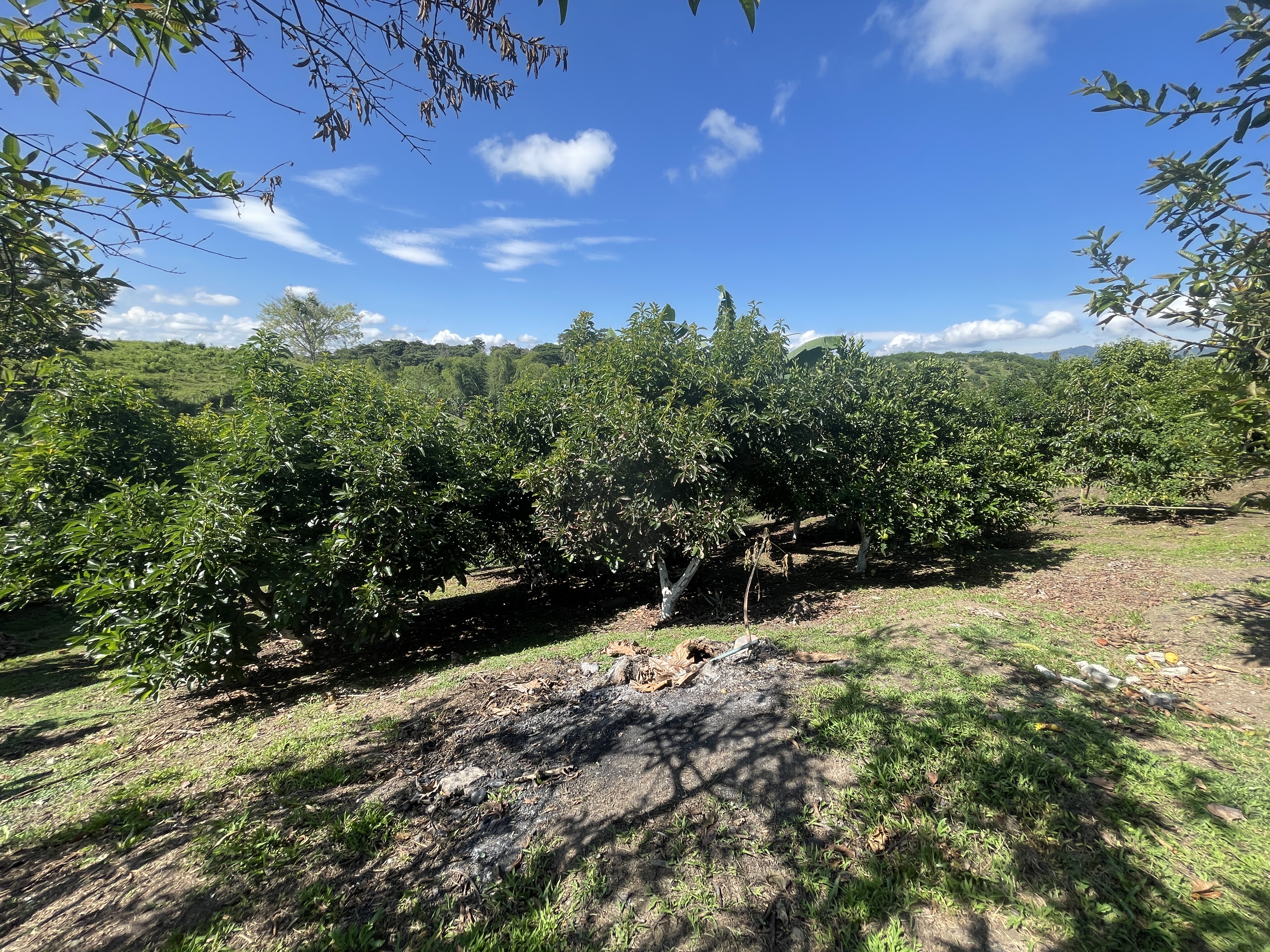 Foto de Casa campestre en Venta en Zona rural, Alcala - 12 - 279064533