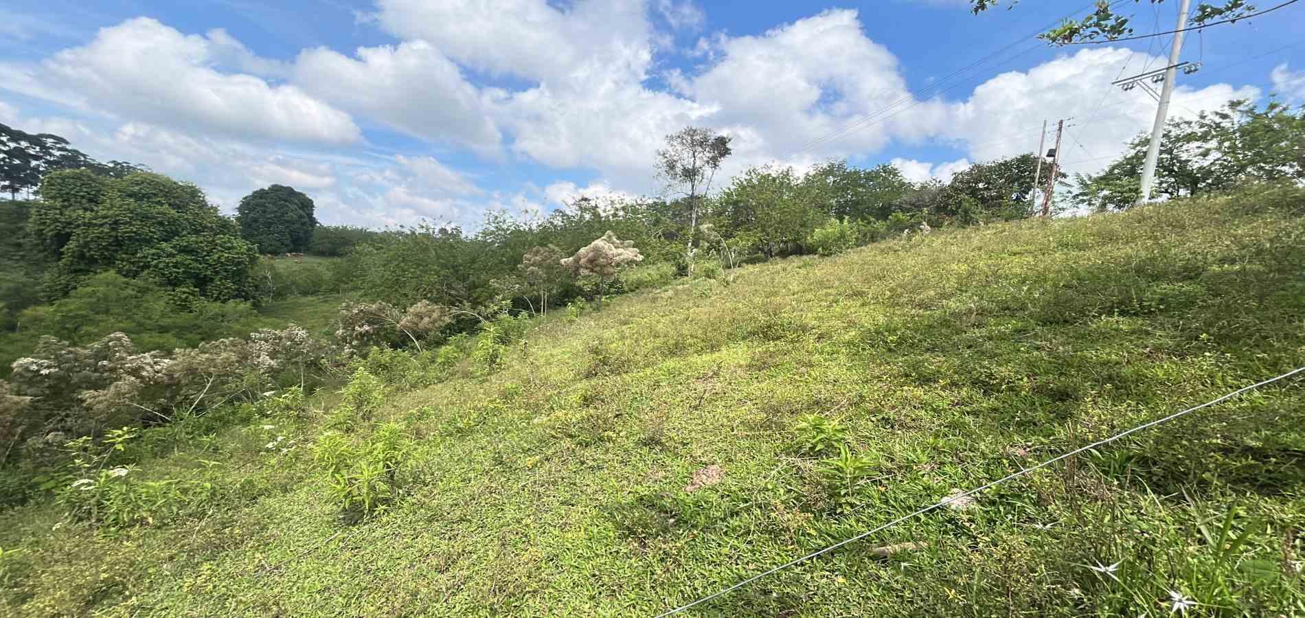 Foto de Lote / terreno en Venta en Via alcala, Pereira - 2 - 279066762