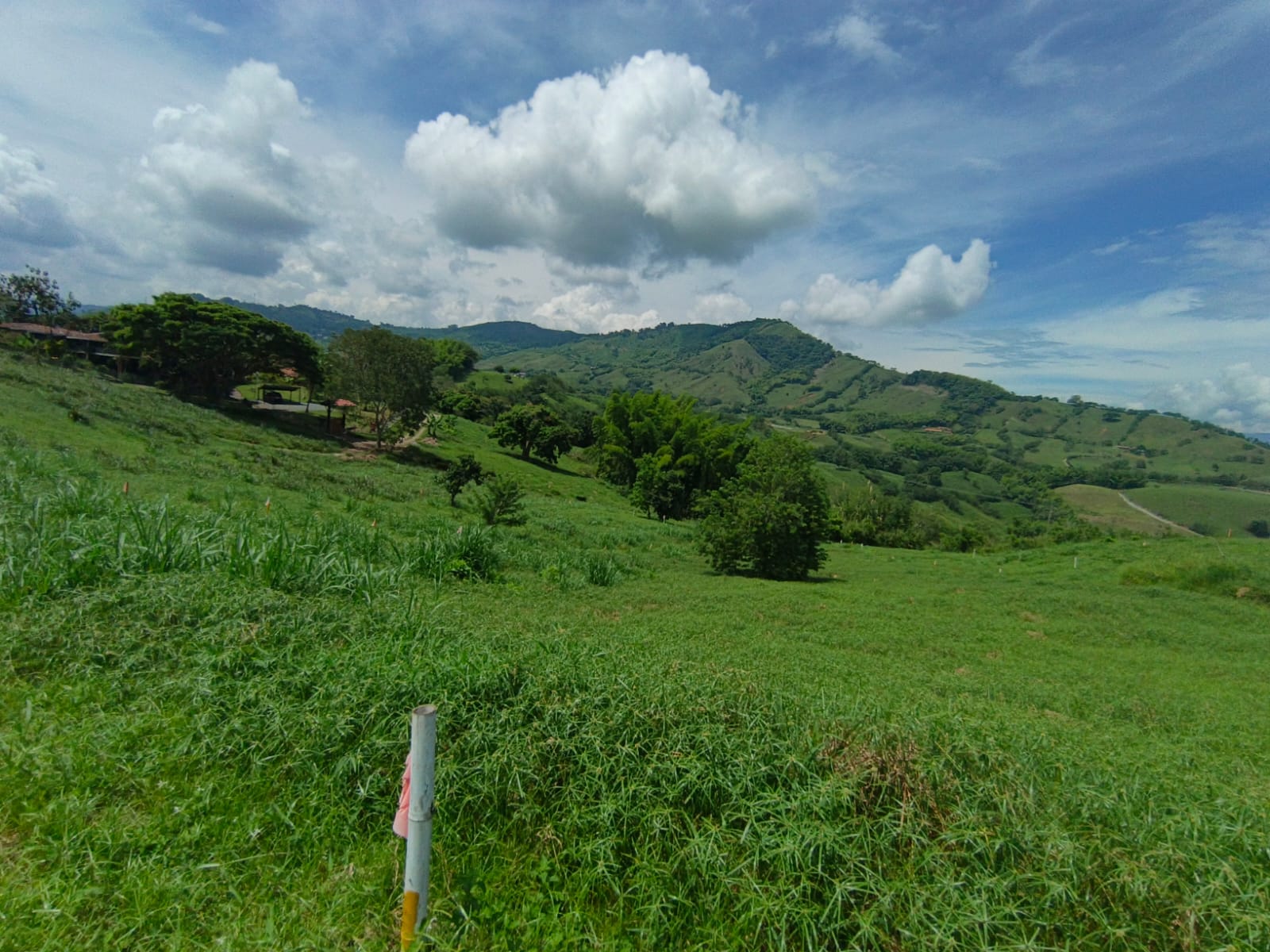 Foto de Lote / terreno en Venta en Vereda santagueda, Palestina - 3 - 279064627