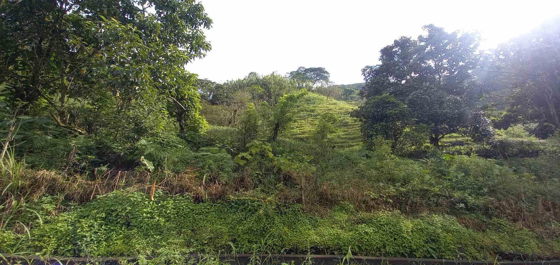Foto de Lote / terreno en Venta en Vereda la trinidad, Manizales - 12 - 279062688
