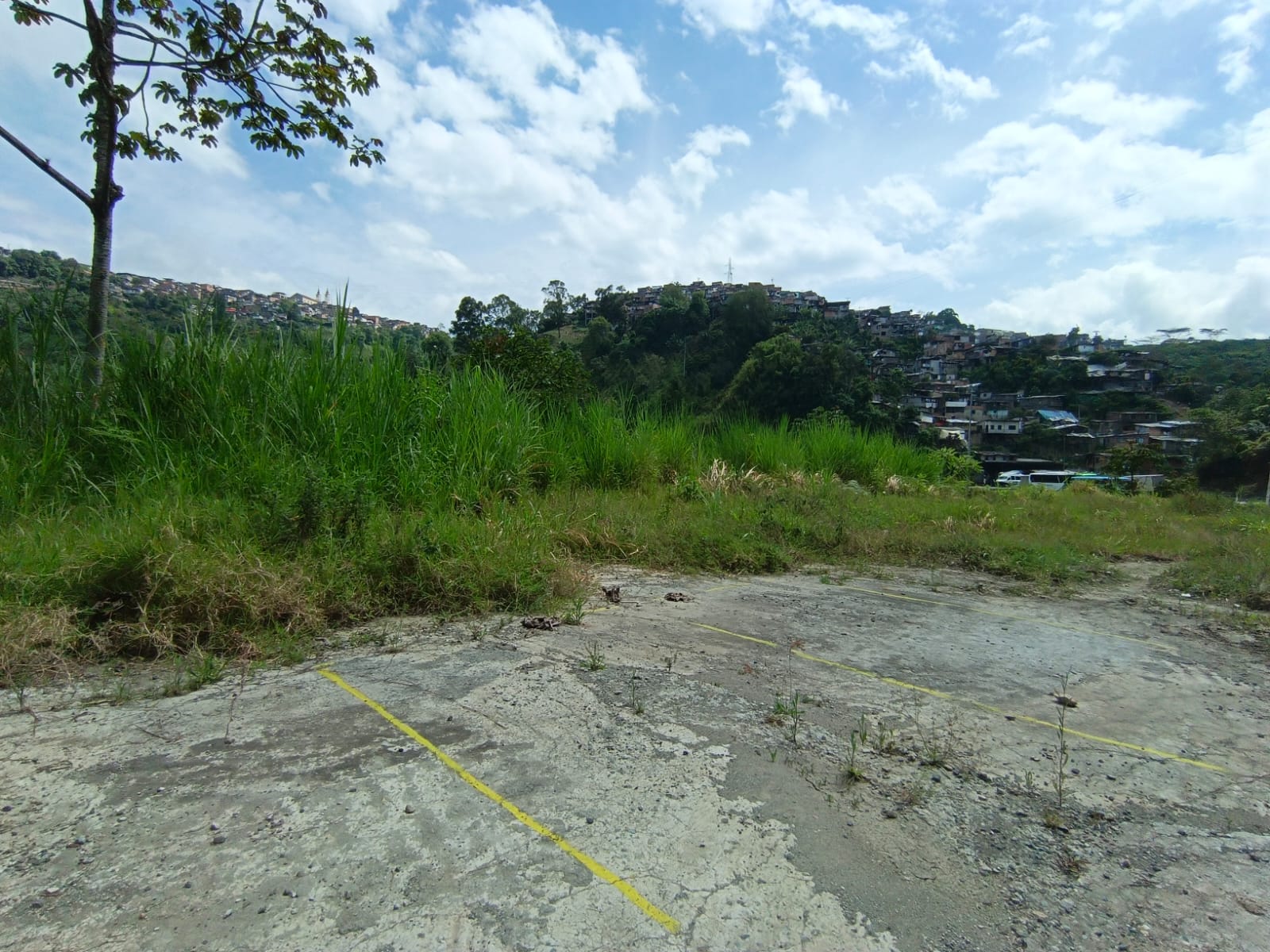 Foto de Lote / terreno en Venta en Panamericana, Manizales - 13 - 279063718