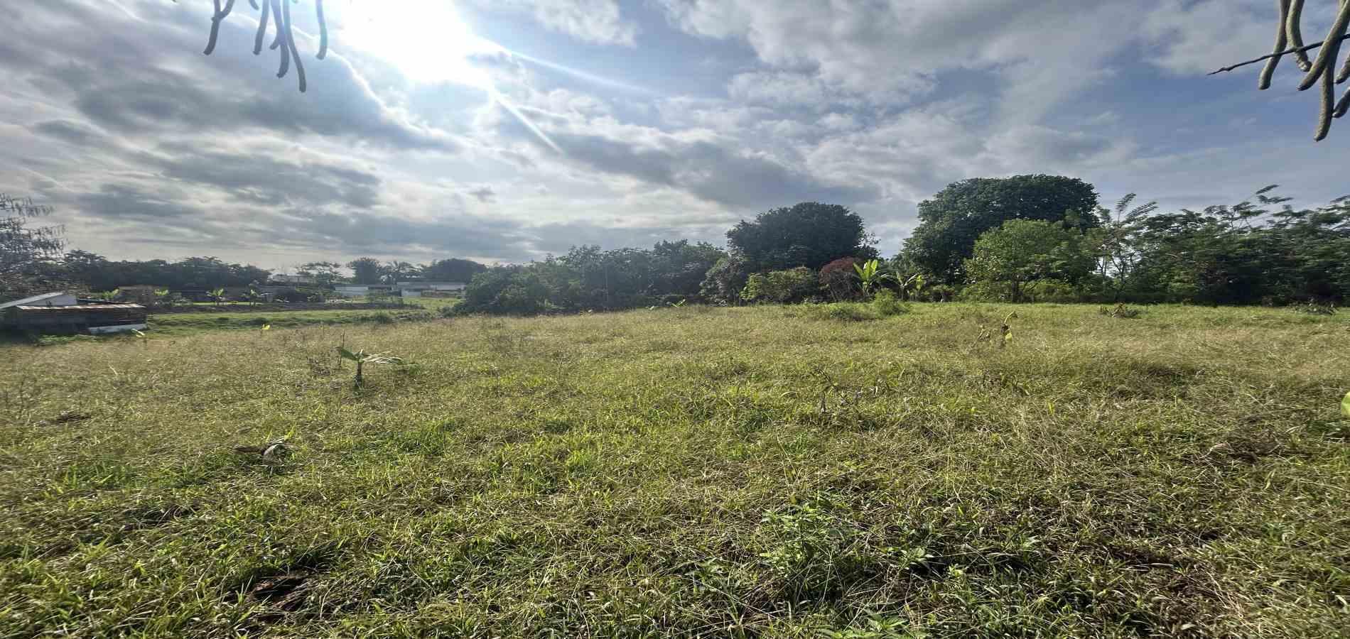 Foto de Lote / terreno para Venta en Cerritos / sector el tigre, Pereira - 279066751