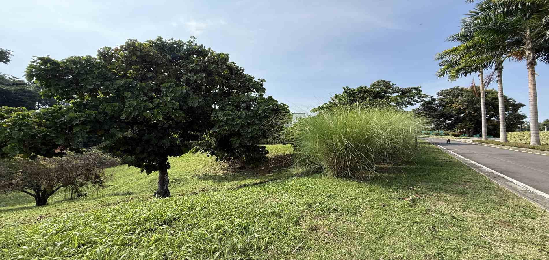 Foto de Lote / terreno en Venta en Cerritos, Pereira - 2 - 279062245