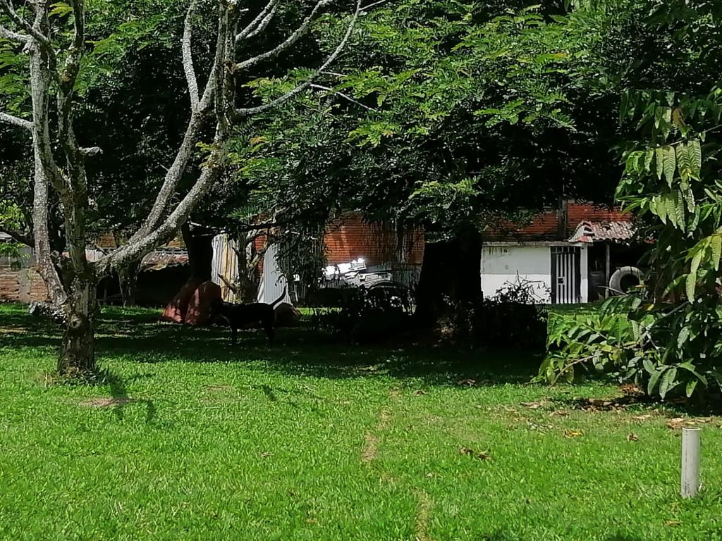 Foto de Lote / terreno en Venta en Cerritos, Pereira - 16 - 279025576