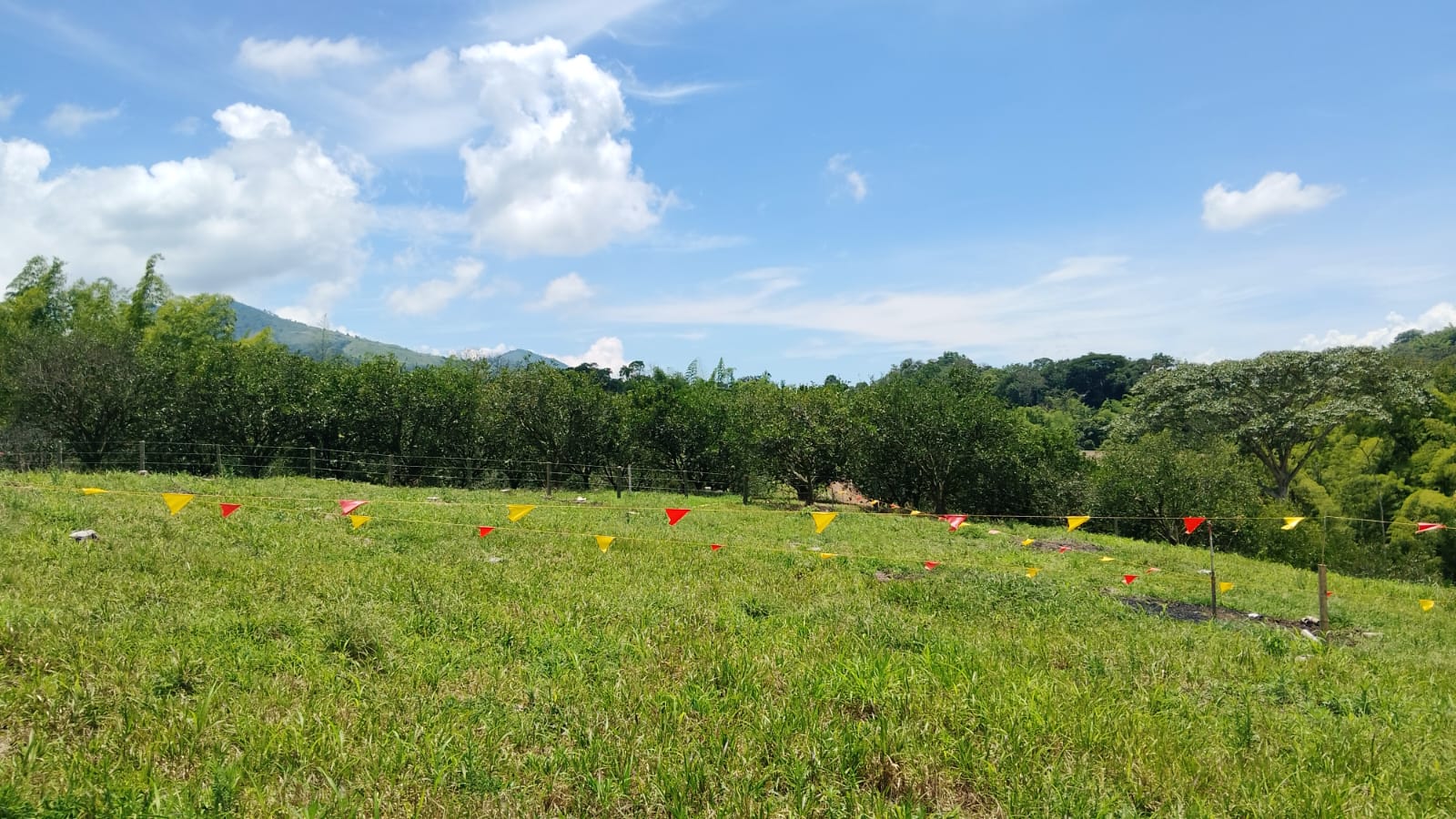 Foto de Lote / terreno en Venta en Anserma, Anserma - 6 - 279069118