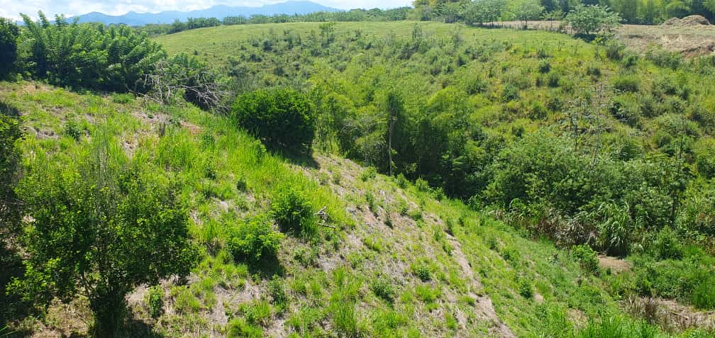 Foto de Lote / terreno en Venta en La virginia, Pereira - 8 - 279065492