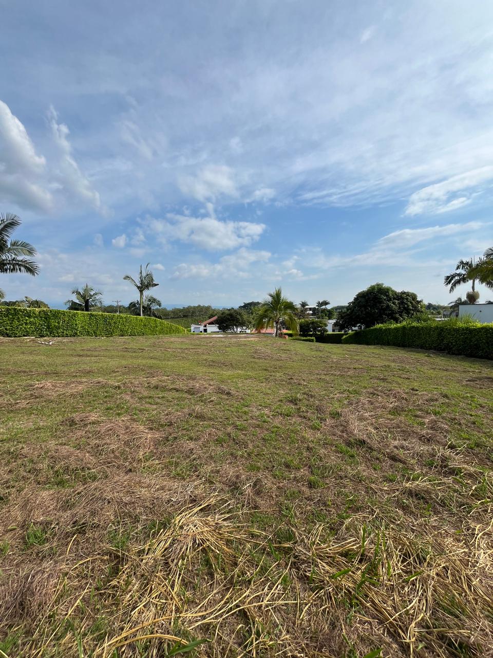 Foto de Lote / terreno en Venta en Cerritos, Pereira - 1 - 279062537