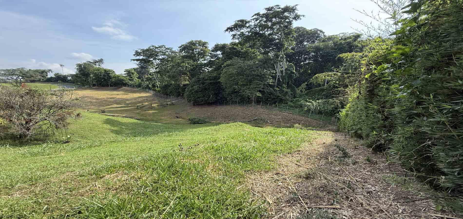 Foto de Lote / terreno en Venta en Cerritos, Pereira - 8 - 279062245