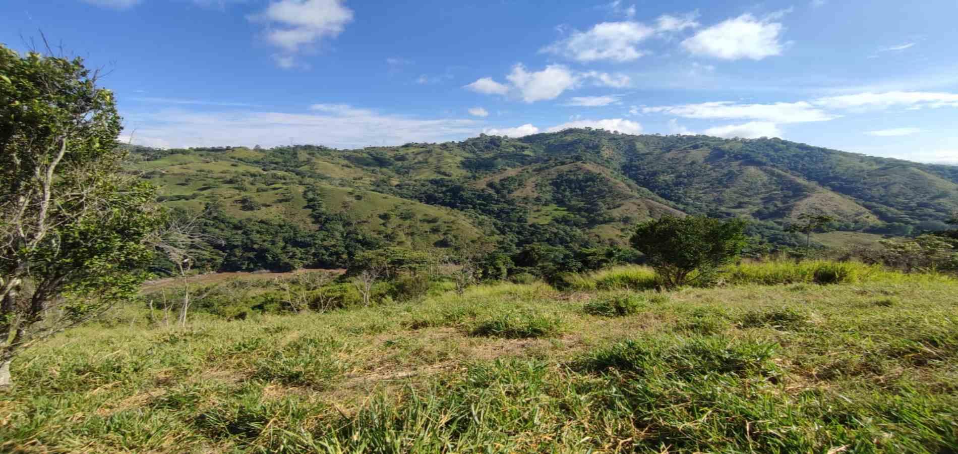Foto de Lote / terreno en Venta en Cerritos, Pereira - 15 - 279064552