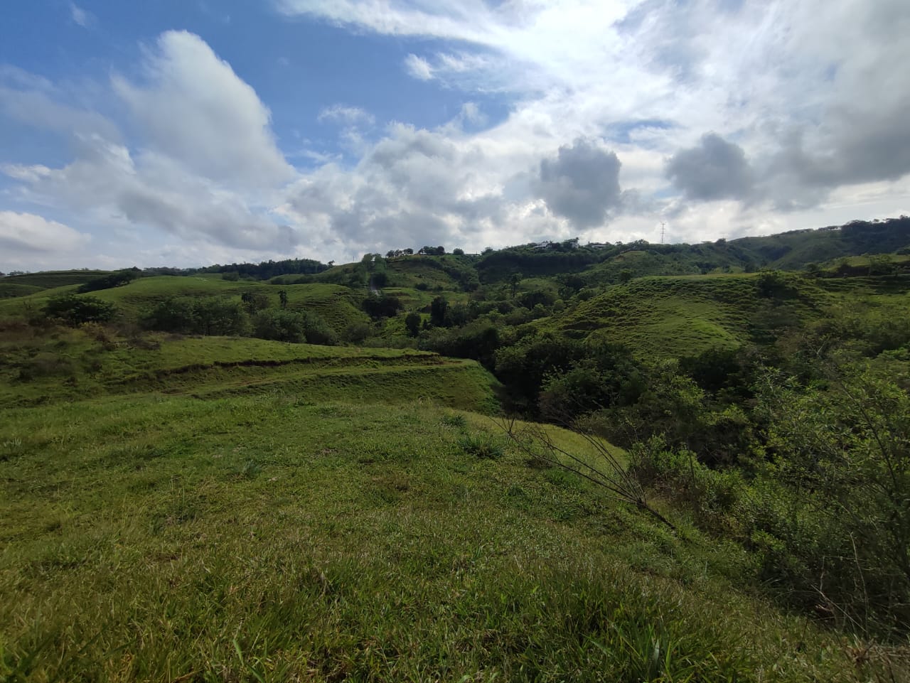 Foto de Lote / terreno en Venta en Cerritos, Pereira - 11 - 279063217