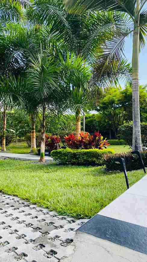 Foto de Casa campestre en Venta en Kilometro 41, Manizales - 10 - 279057052