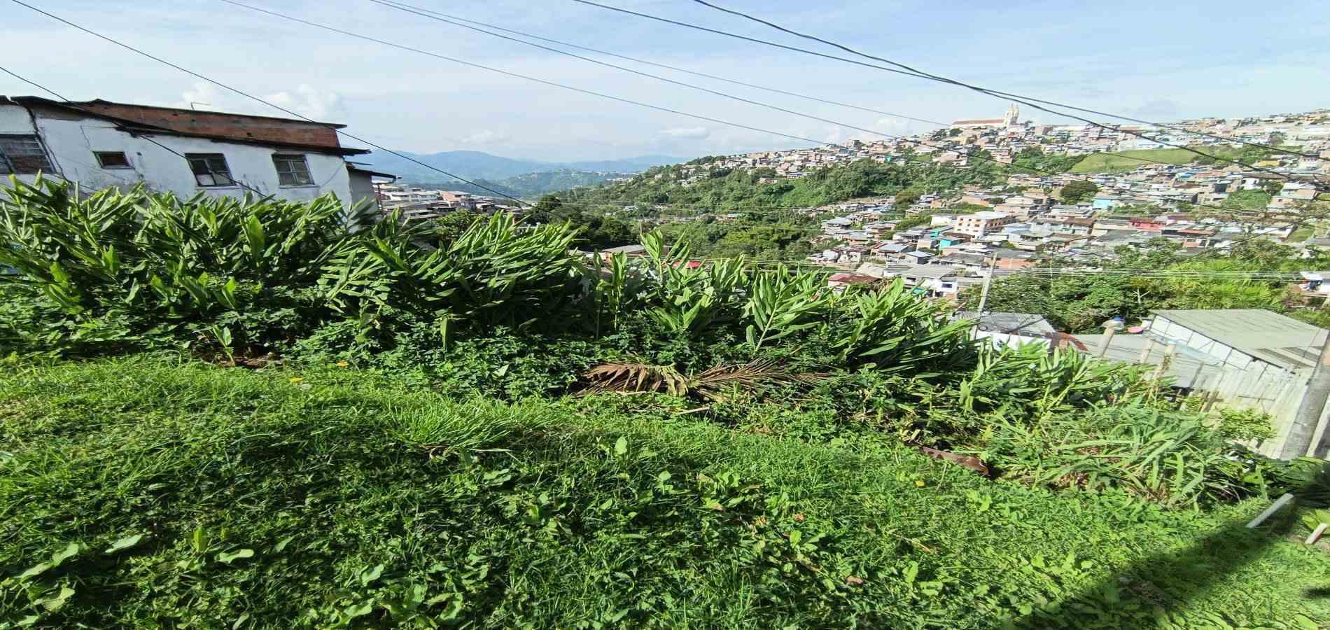 Foto de Lote / terreno en Venta en Campo amor, Manizales - 13 - 279067419