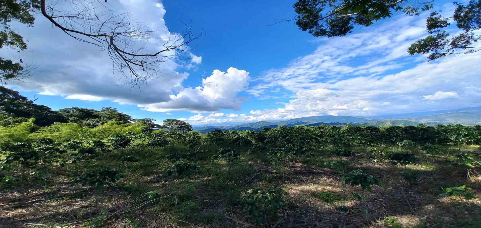 Foto de Lote / terreno en Venta en Otro, Dosquebradas - 1 - 279067985