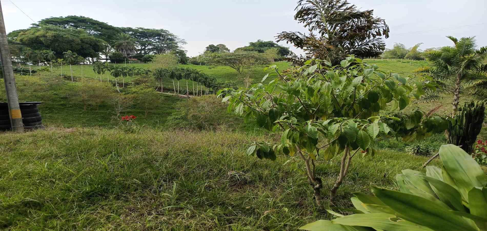 Foto de Lote / terreno para Venta en Via alcala, Pereira - 279061897