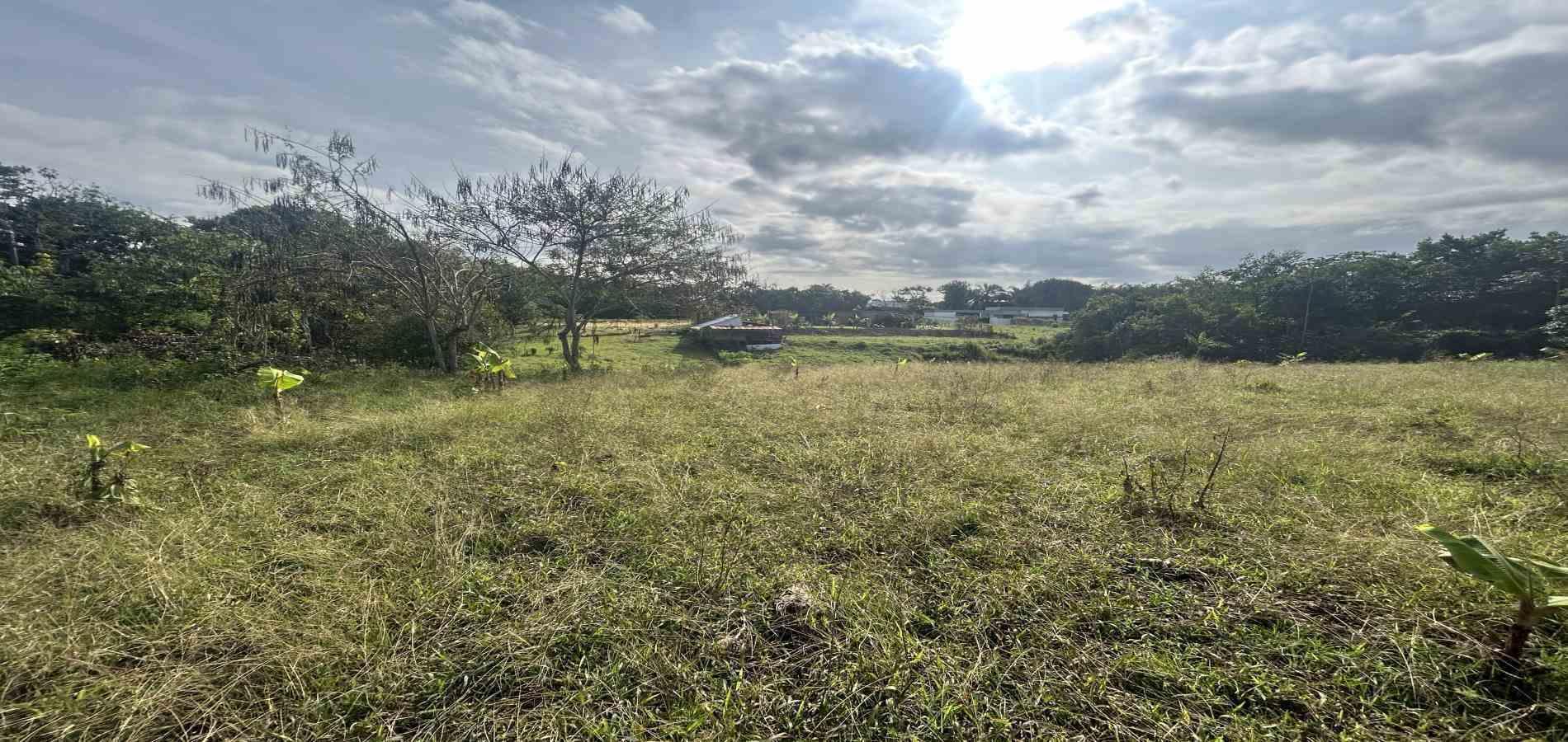 Foto de Lote / terreno en Venta en Cerritos / sector el tigre, Pereira - 3 - 279066751