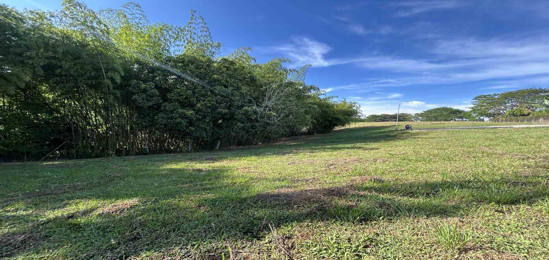 Foto de Lote / terreno en Venta en Cerritos, Pereira - 24 - 279069202