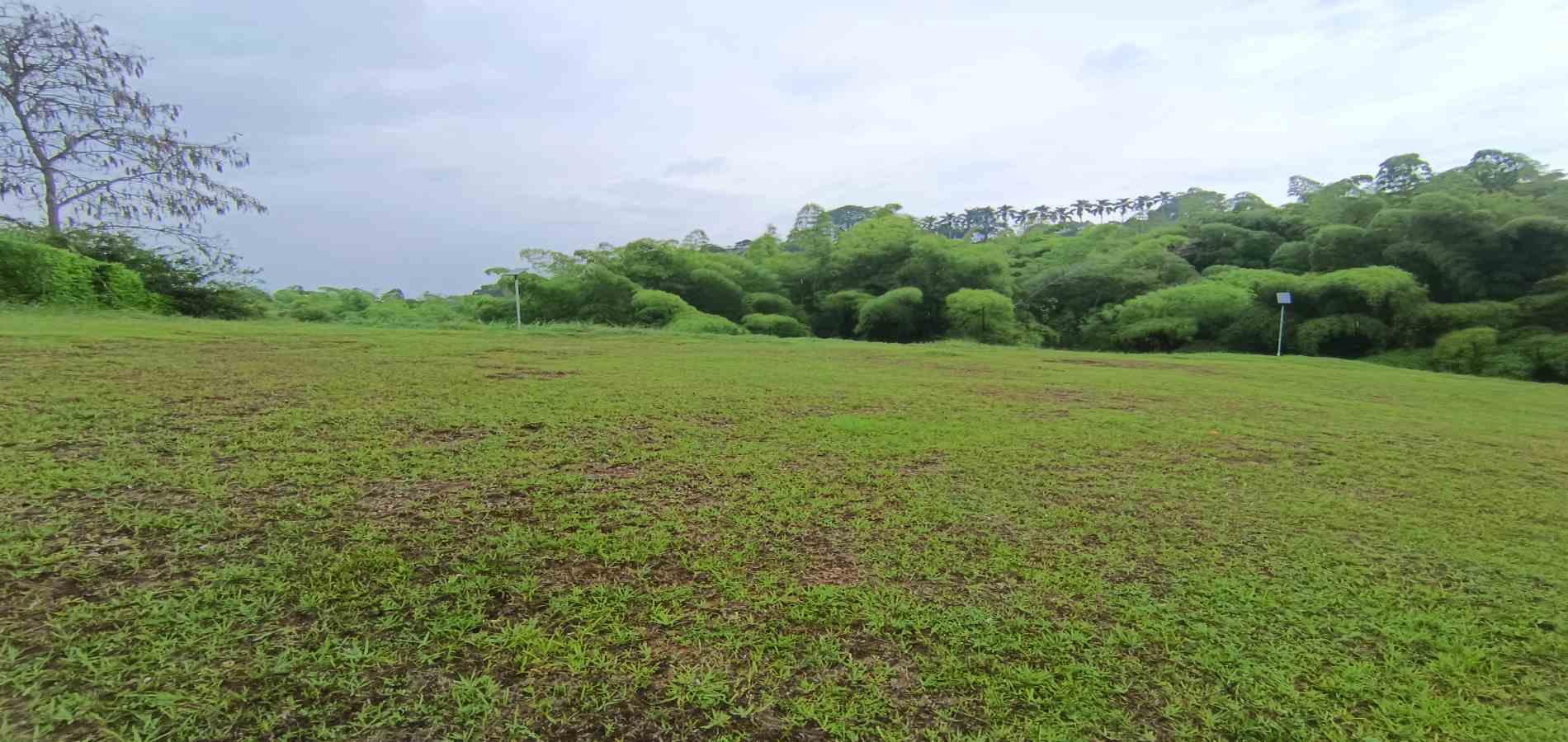 Foto de Lote / terreno en Venta en Vereda la trinidad, Manizales - 26 - 279069692