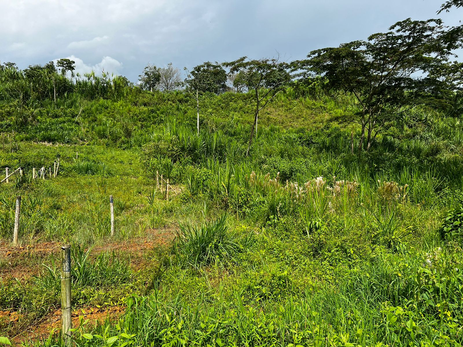 Foto de Lote / terreno en Venta en Bosques de la acuarela, Dosquebradas - 5 - 279057792