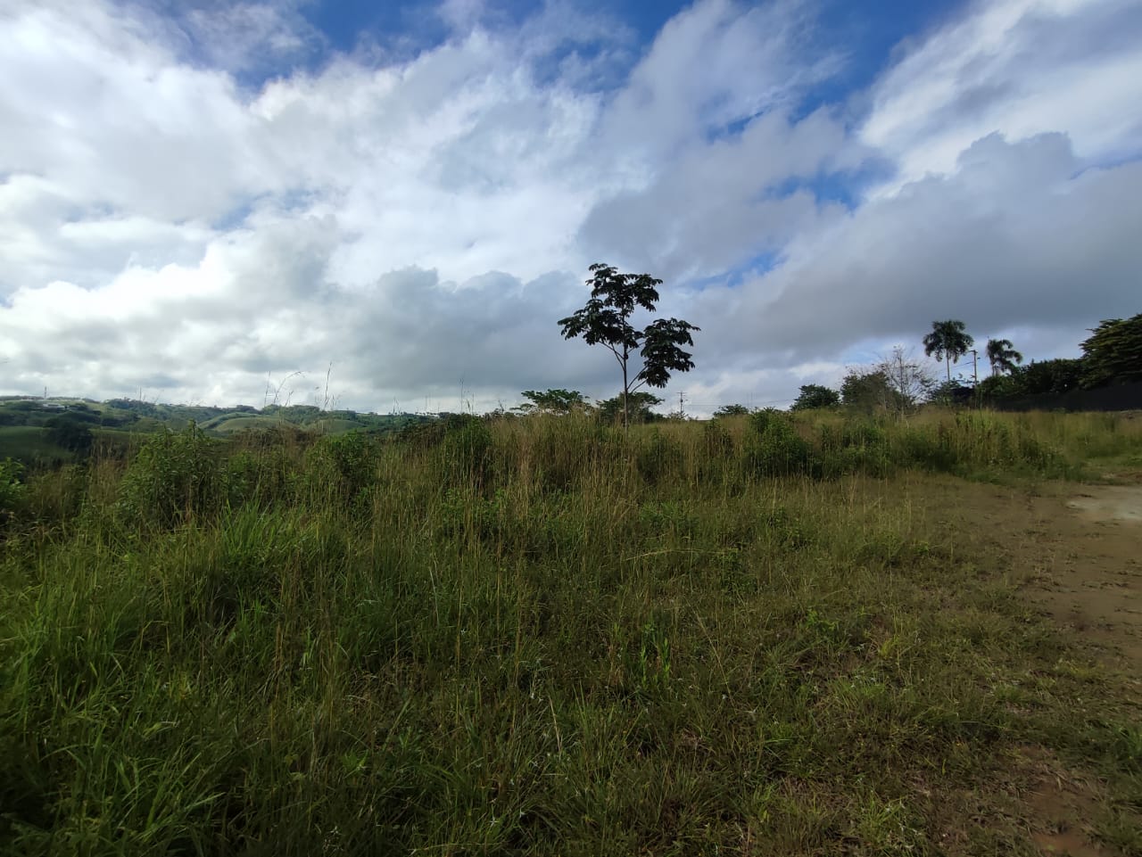Foto de Lote / terreno en Venta en Cerritos, Pereira - 3 - 279063217