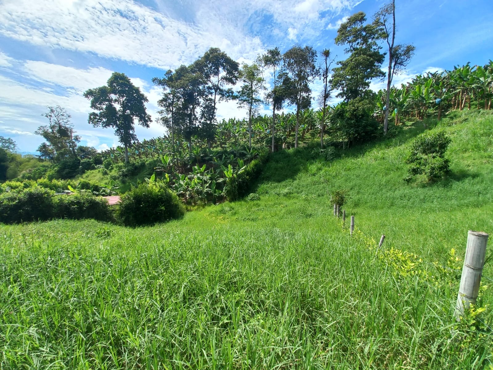 Foto de Lote / terreno en Venta en Vereda altamira, Pereira - 5 - 279067754