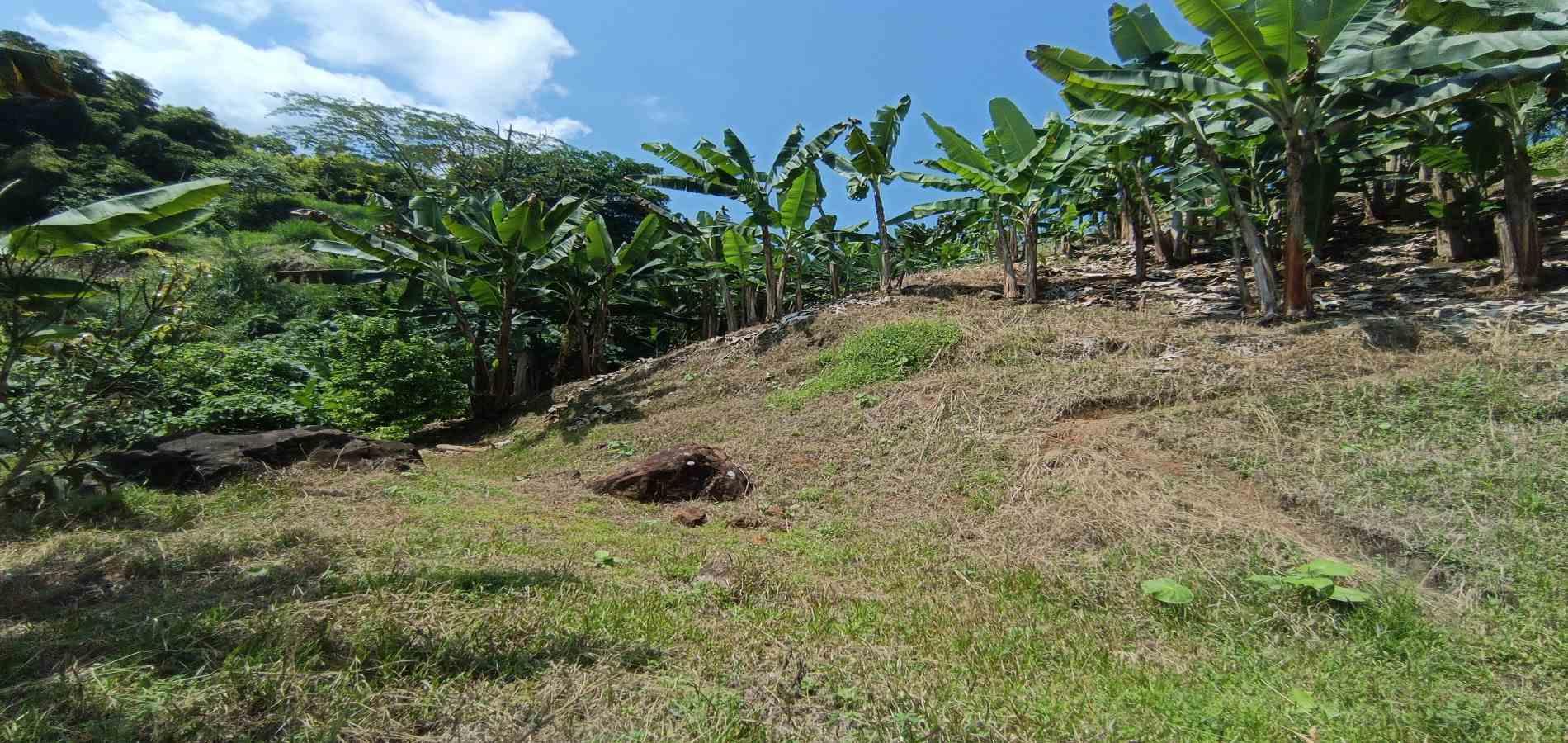 Foto de Lote / terreno en Venta en La plata, Palestina - 4 - 279067174