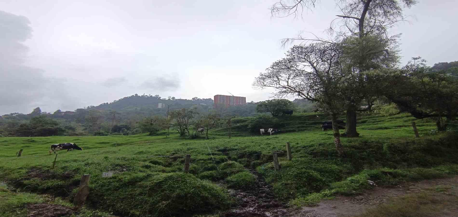 Foto de Finca en Venta en La francia, Manizales - 14 - 279066742