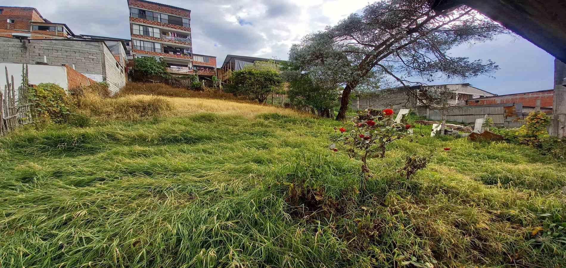 Foto de Casa en Venta en VillamarÍa, Villamaria - 40 - 279052595