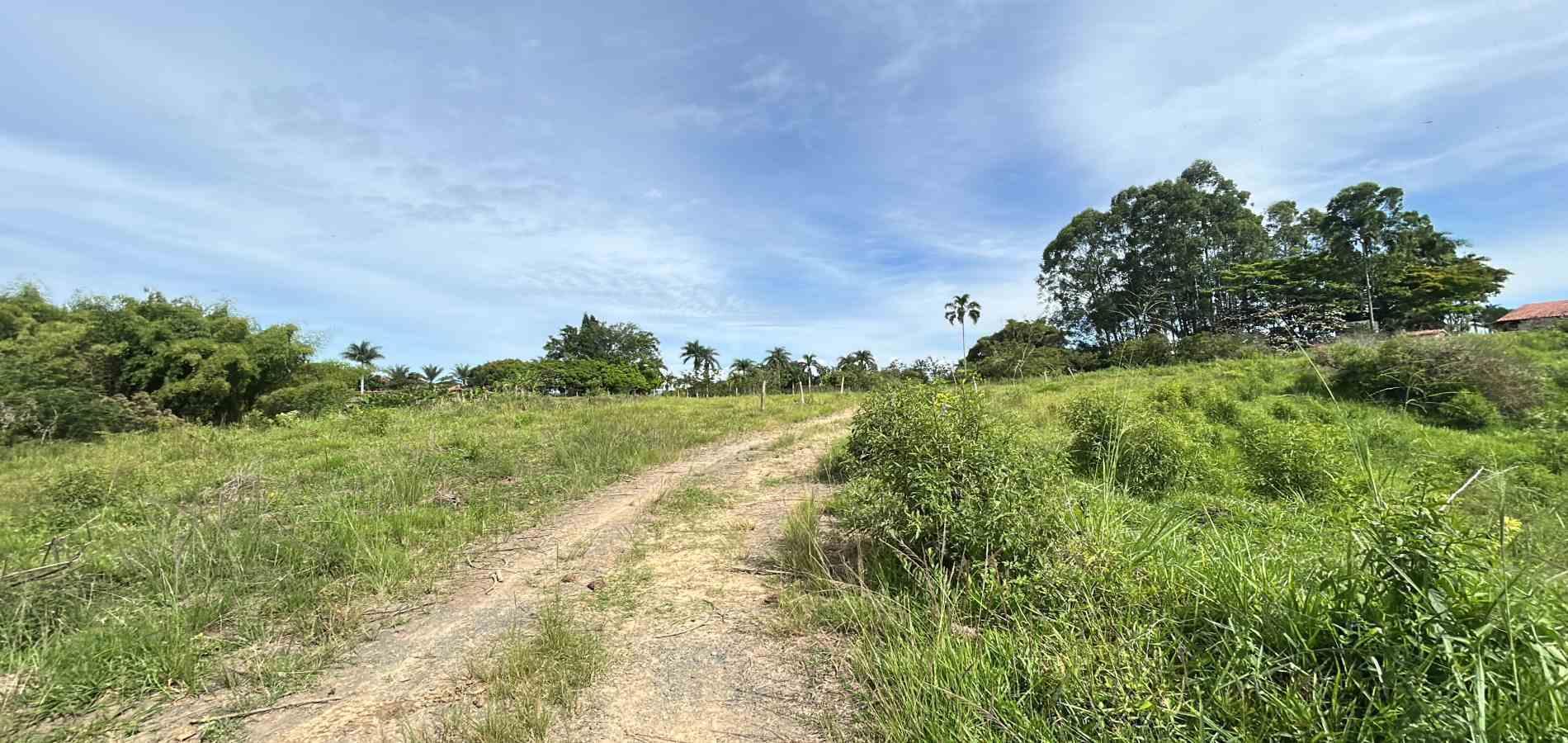 Foto de Lote / terreno en Venta en Cerritos, Pereira - 1 - 279068066