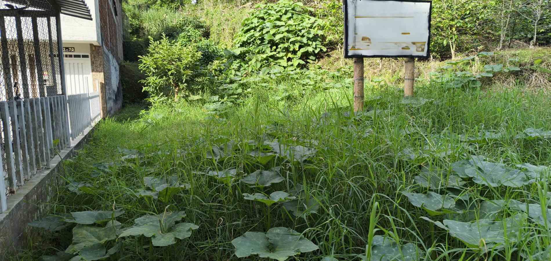 Foto de Lote / terreno en Venta en Corbones, Armenia  - 1 - 279066772