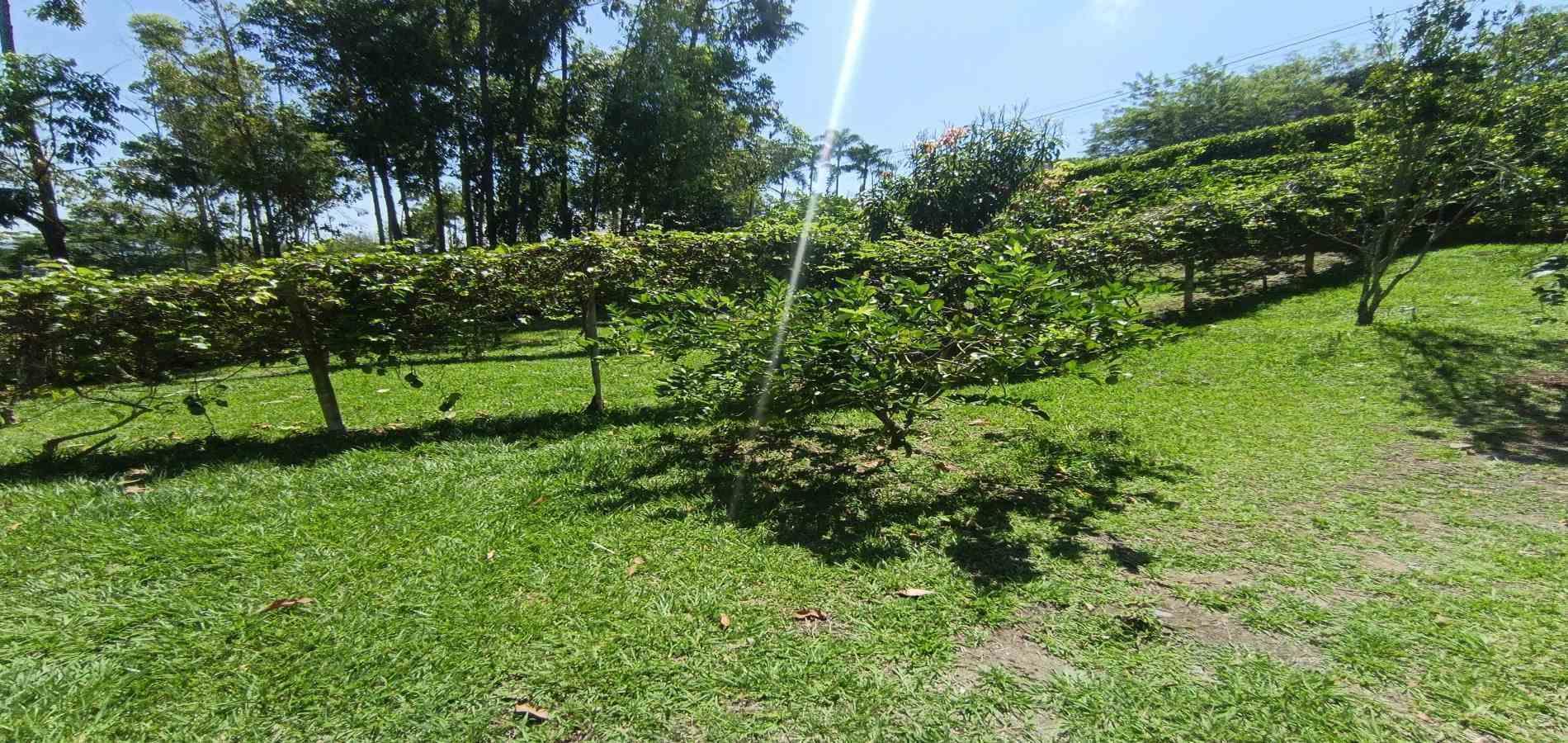 Foto de Lote / terreno en Venta en Vereda palermo, Neira - 11 - 279068279