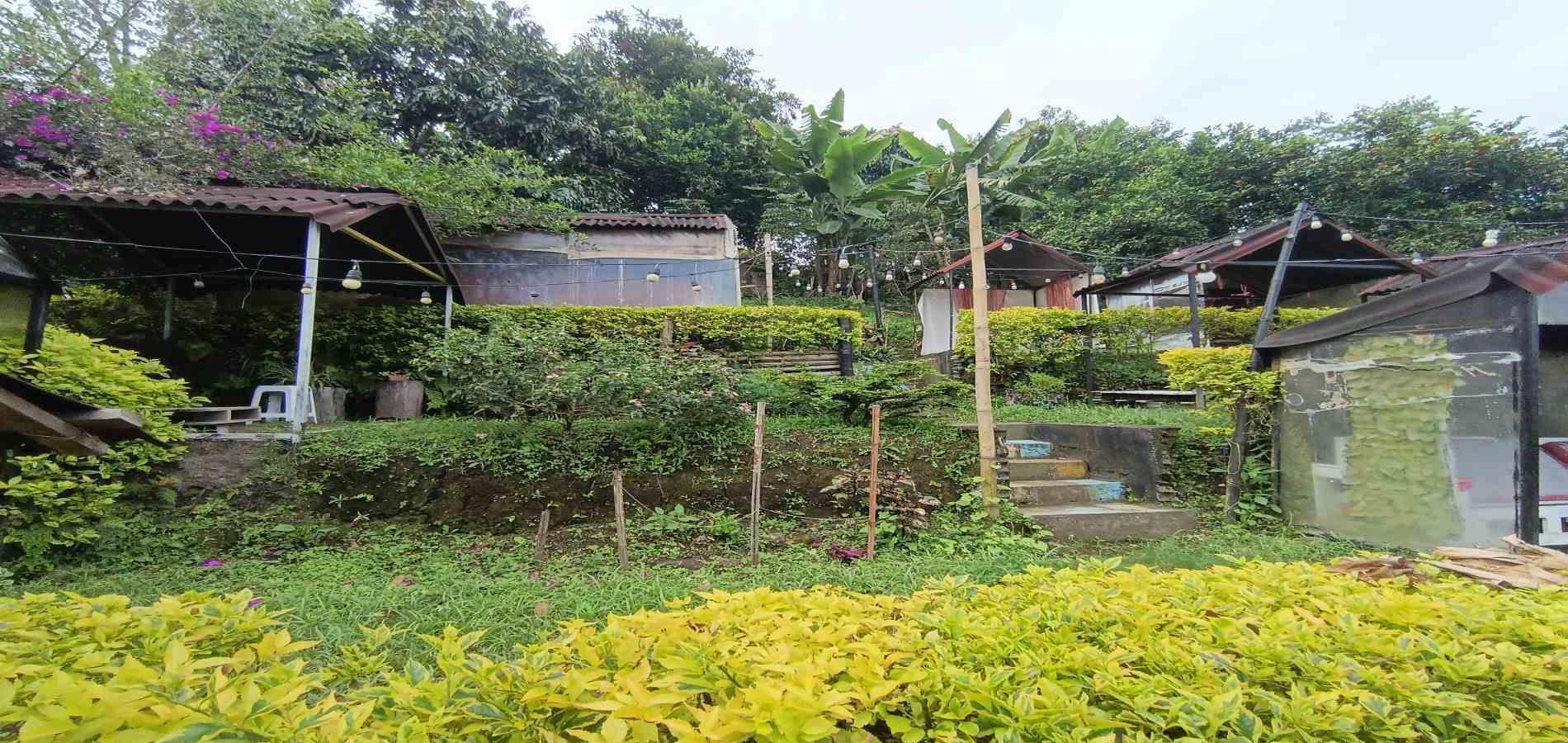 Foto de Local en Arriendo en Otro, Manizales - 9 - 279066628