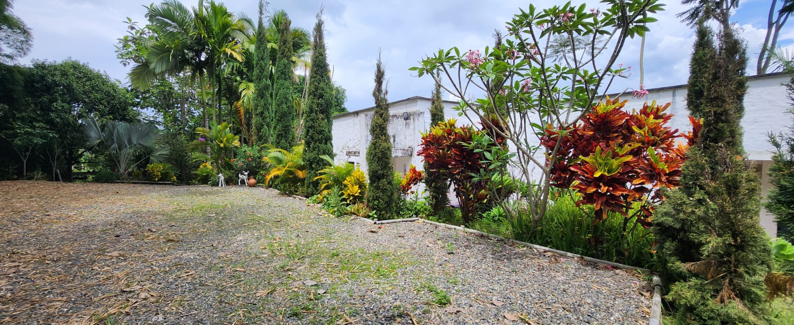 Foto de Edificio en Arriendo en Anserma nuevo, La virginia - 6 - 279060826