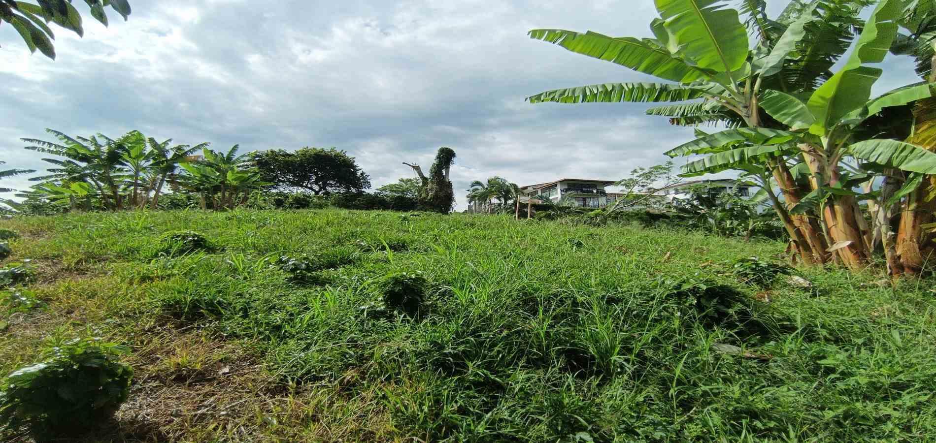 Foto de Lote / terreno en Venta en San peregrino, Manizales - 7 - 279068552