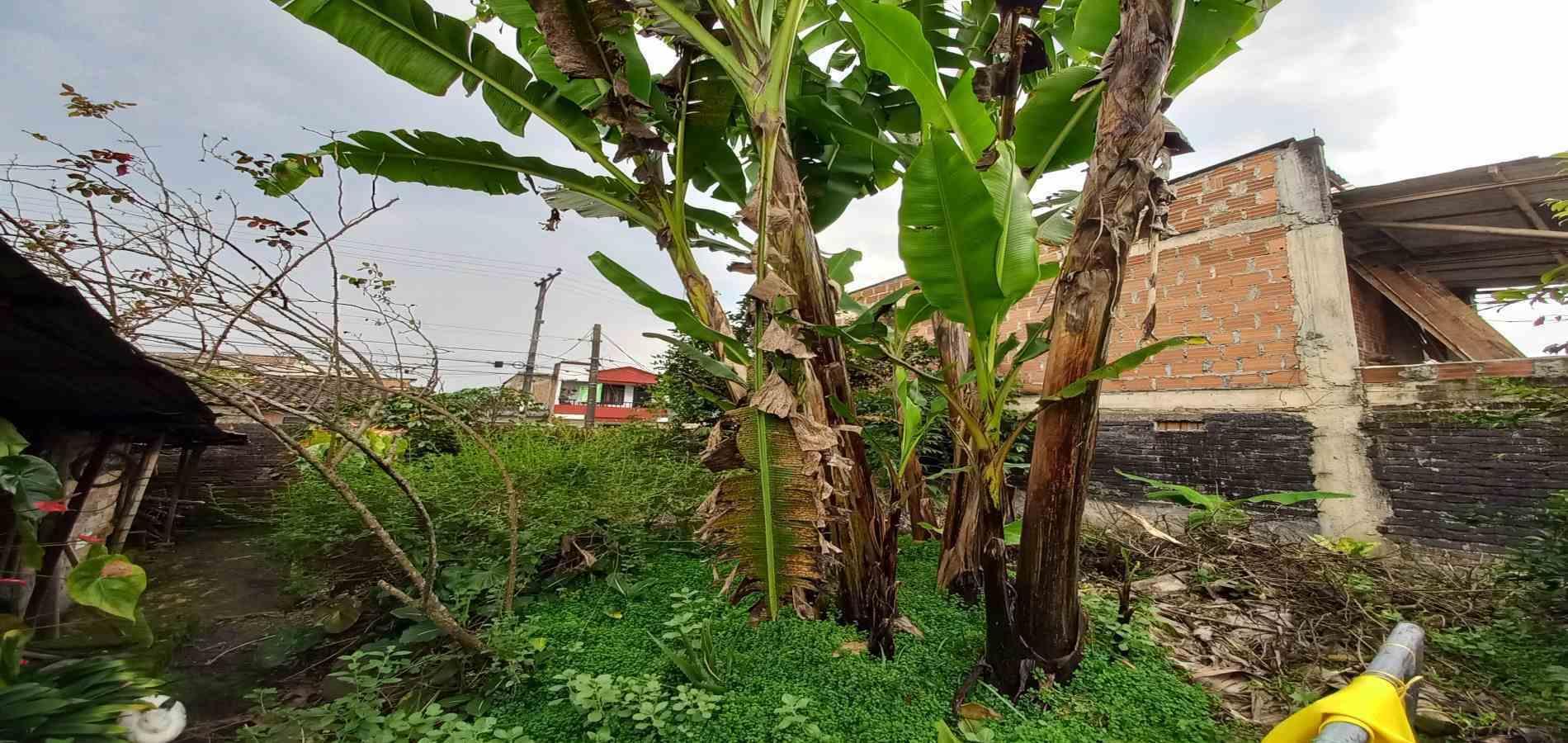 Foto de Casa en Venta en San vicente, Santa rosa de cabal - 10 - 279066924