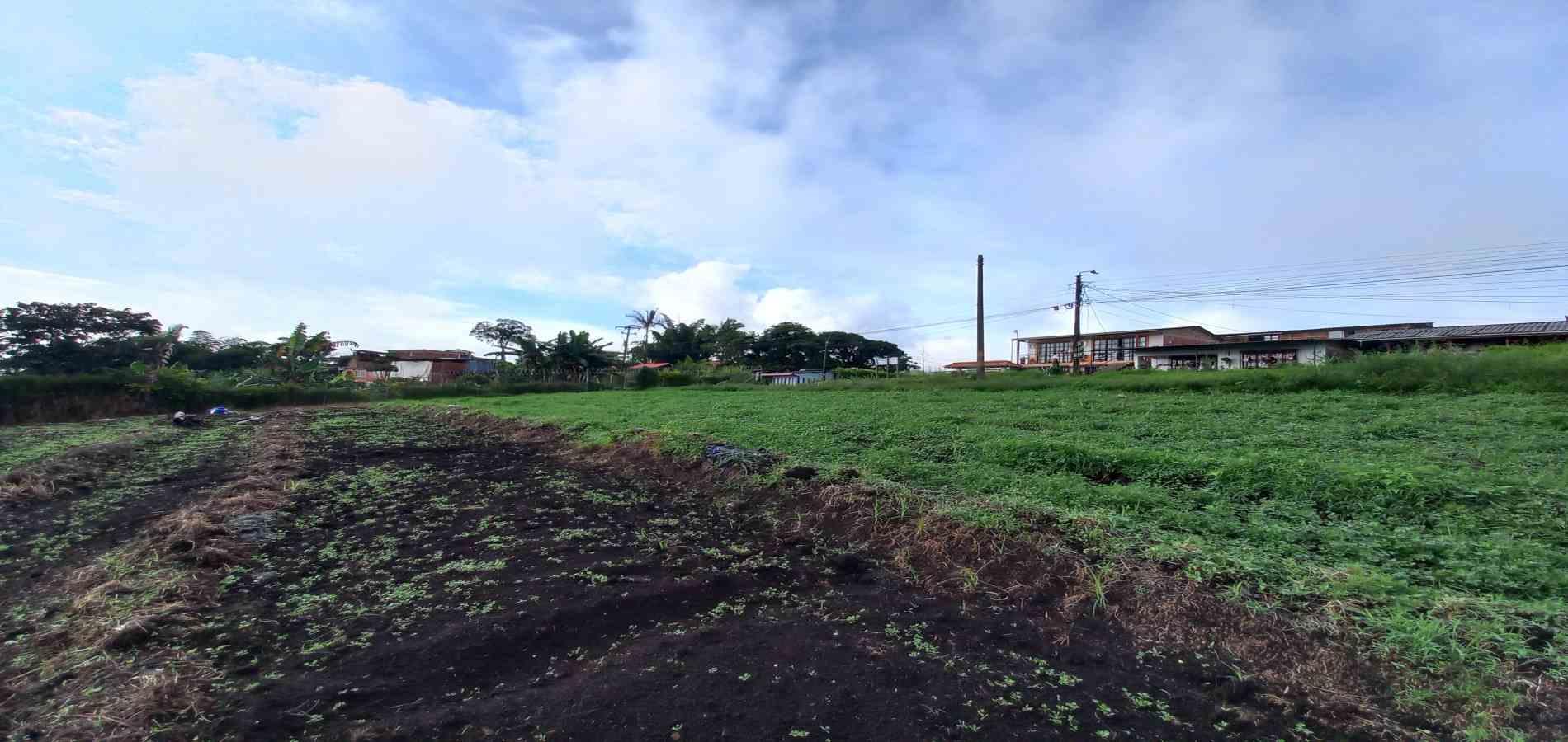 Foto de Lote / terreno en Venta en Vereda el lembo, Santa rosa de cabal - 7 - 279066290