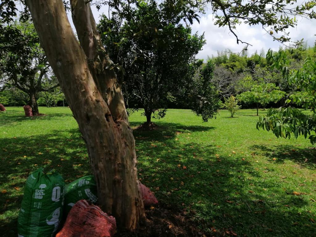 Foto de Lote / terreno en Venta en Cerritos, Pereira - 9 - 279025576