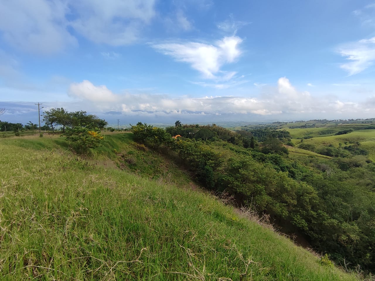Foto de Lote / terreno en Venta en Cerritos, Pereira - 17 - 279063214