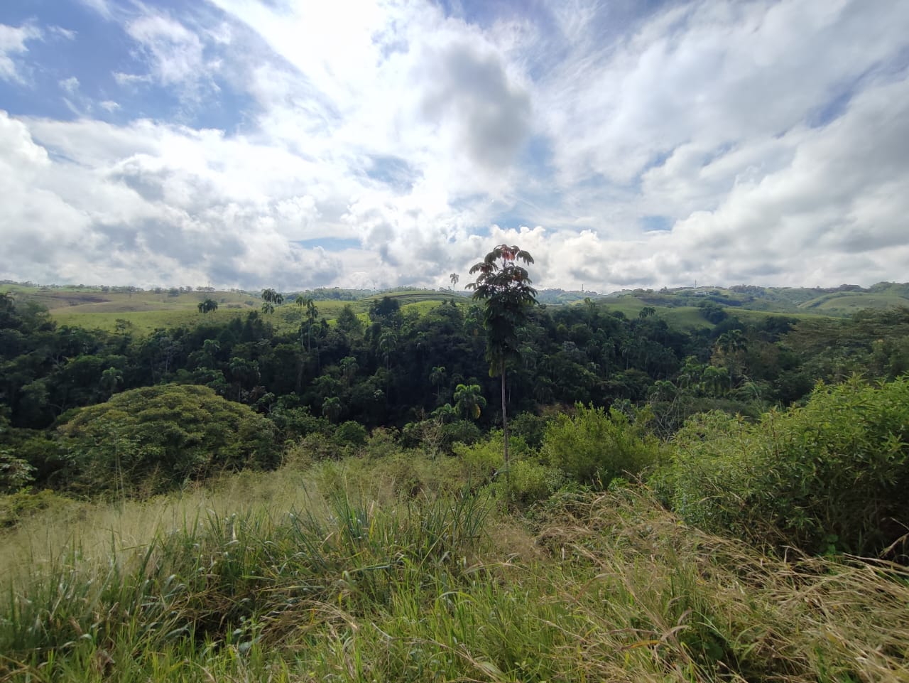 Foto de Lote / terreno en Venta en Cerritos, Pereira - 1 - 279063217