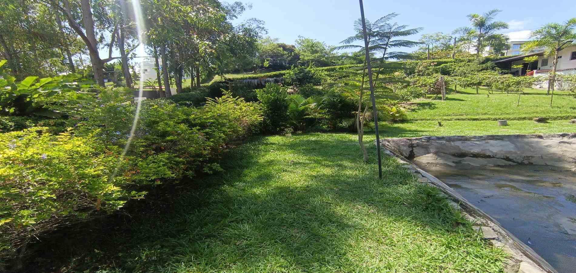 Foto de Lote / terreno en Venta en Vereda palermo, Neira - 15 - 279068279