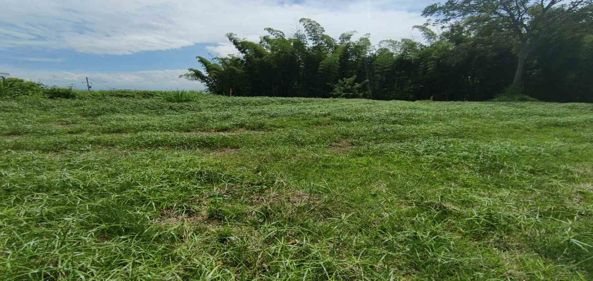 Foto de Lote / terreno en Venta en Vereda santagueda, Palestina - 11 - 279064609
