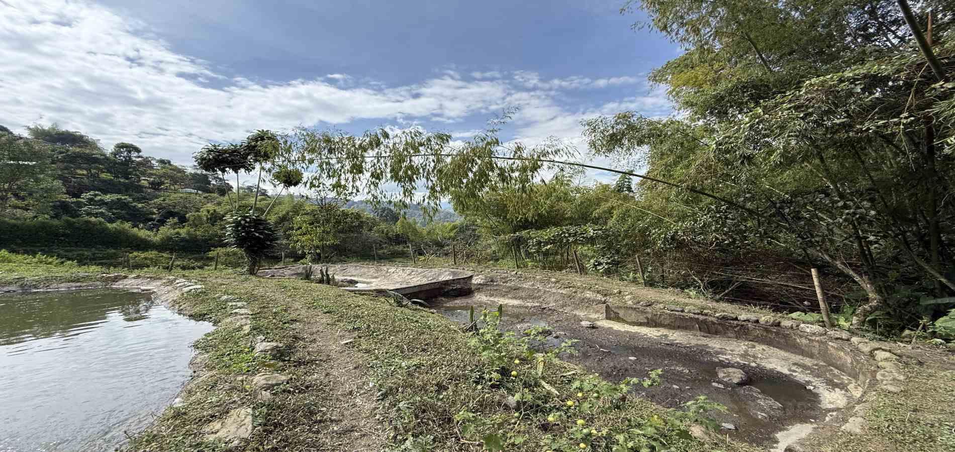 Foto de Finca en Venta en Agua azul, Dosquebradas - 37 - 279063271