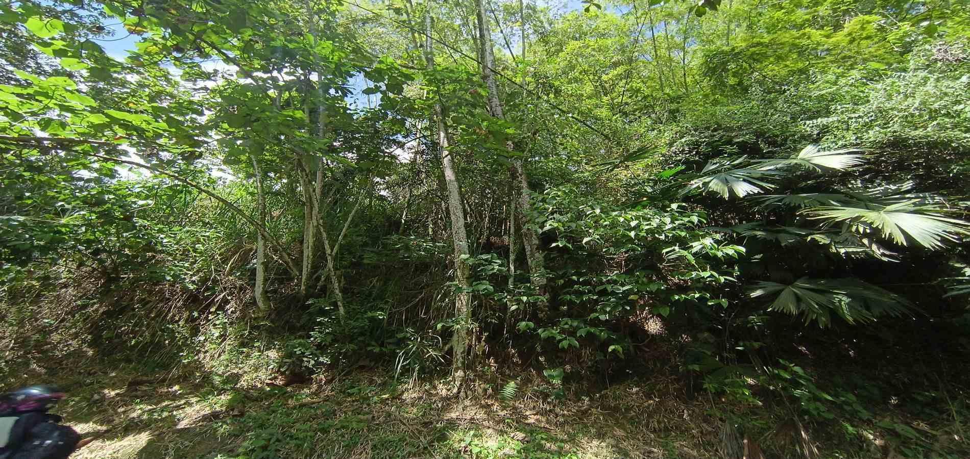 Foto de Casa en Venta en San peregrino, Manizales - 16 - 279068312