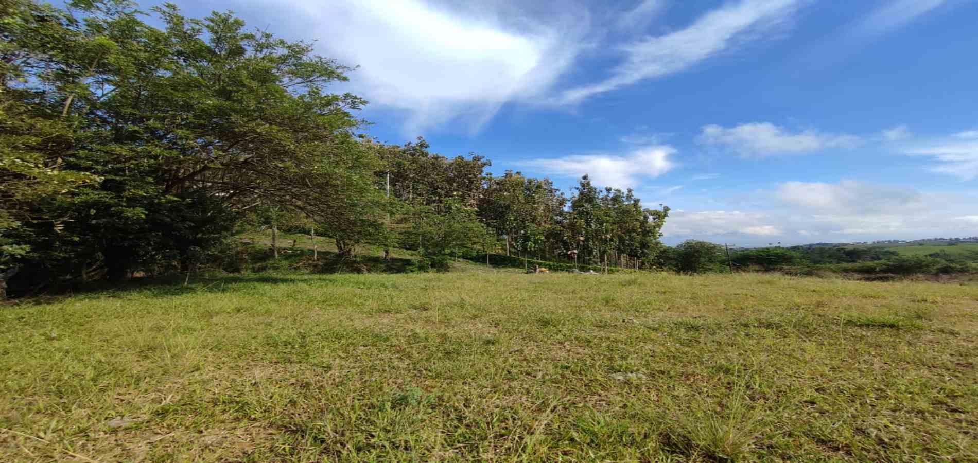 Foto de Lote / terreno en Venta en Centro, Pereira - 6 - 279063216