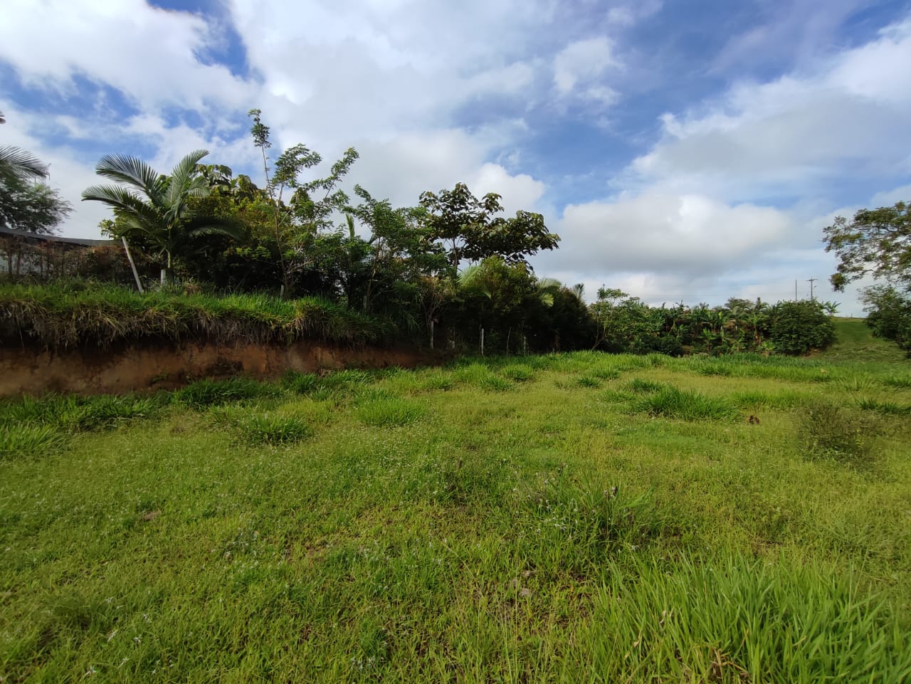 Foto de Lote / terreno en Venta en Cerritos, Pereira - 5 - 279063190