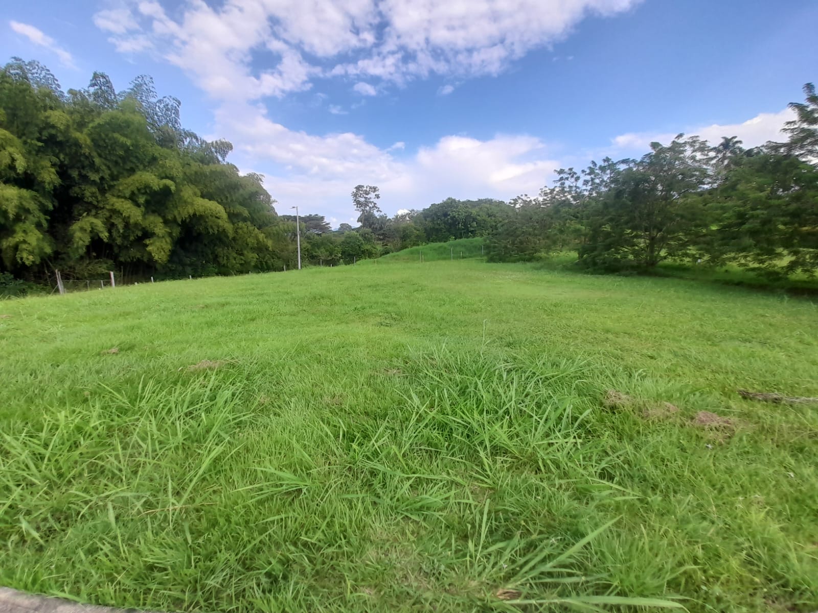 Foto de Lote / terreno en Venta en La floresta, Pereira - 13 - 279065198