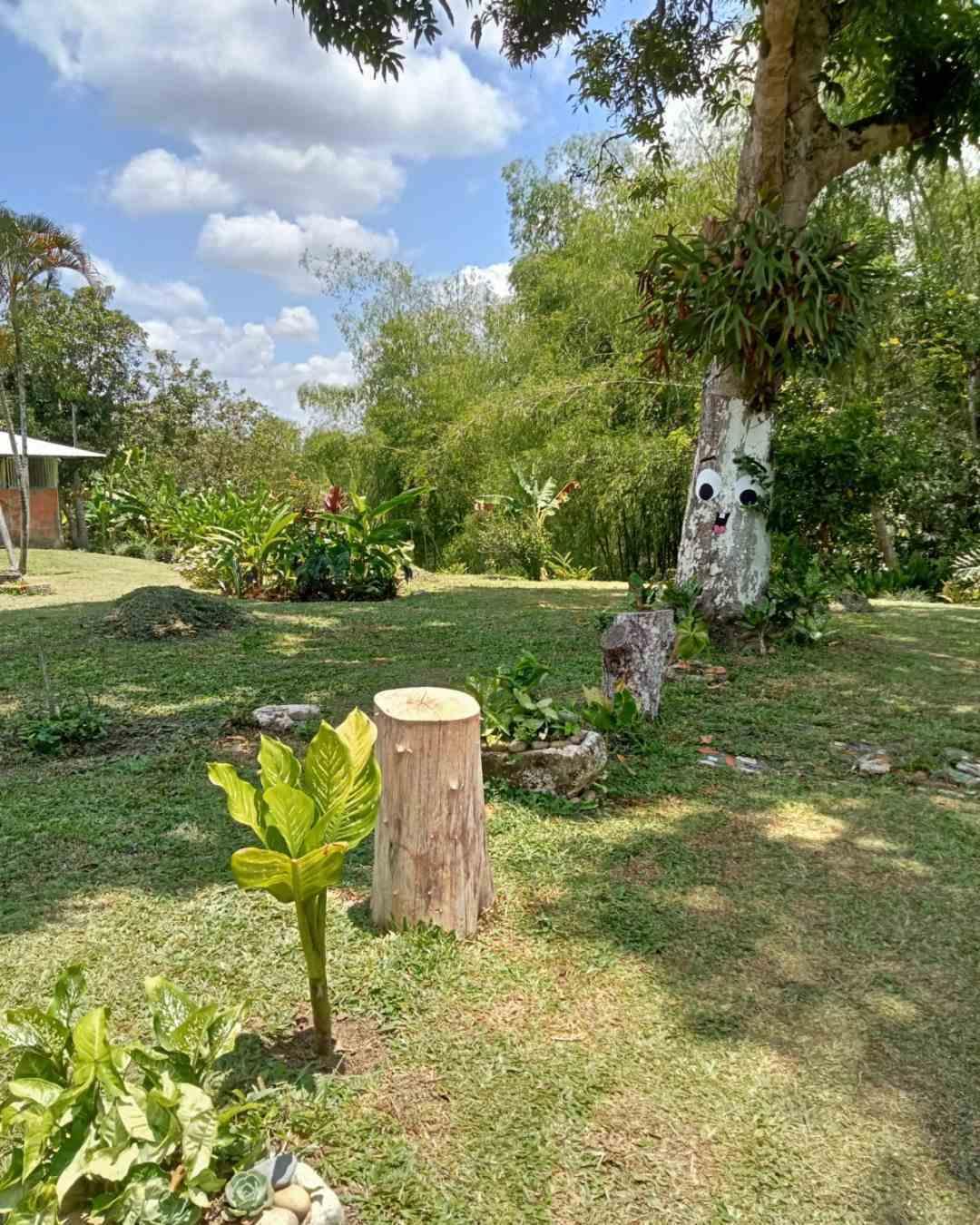 Foto de Finca en Venta en Vereda la julia, Alamos de poporo 103 t 8 - 3 - 279062428
