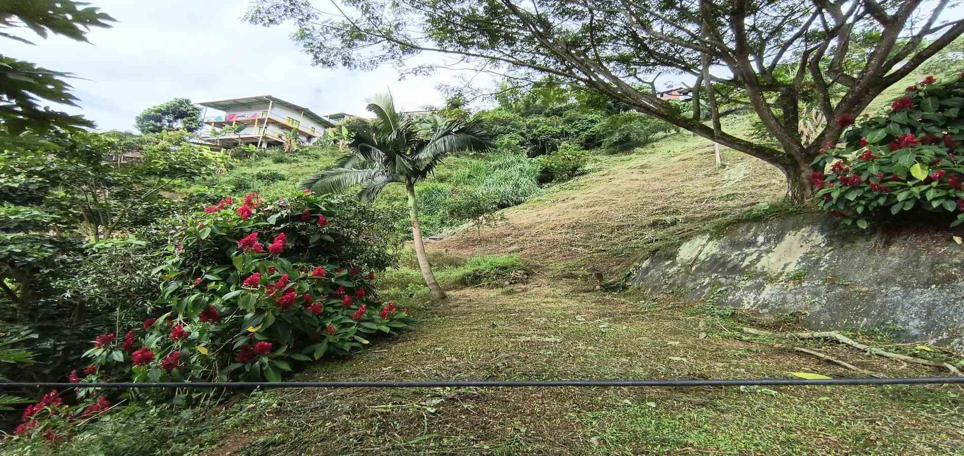 Foto de Lote / terreno en Venta en Vereda la trinidad, Manizales - 20 - 279066610