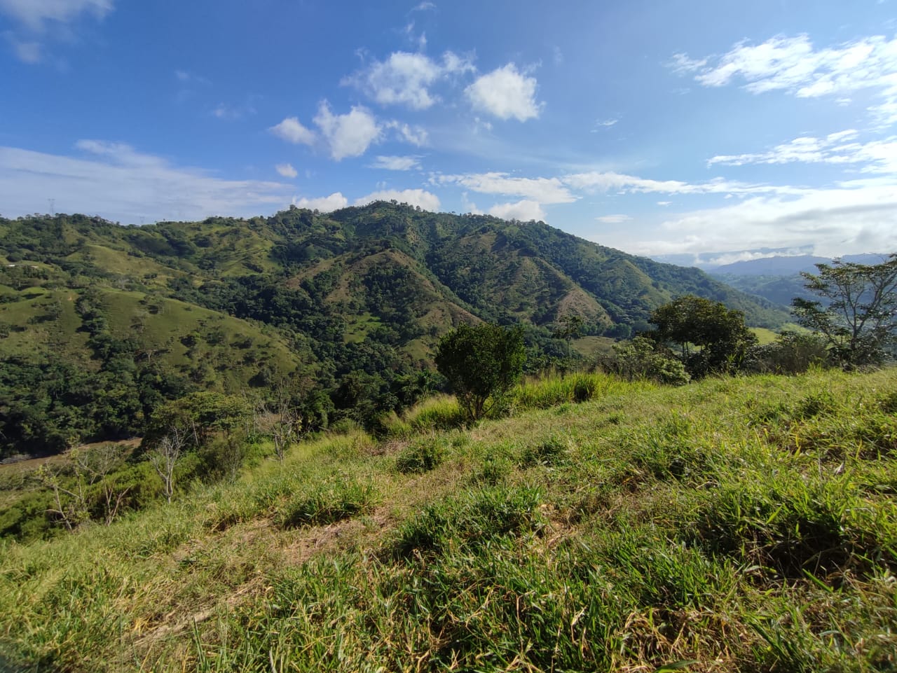 Foto de Lote / terreno en Venta en Cerritos, Pereira - 14 - 279064552