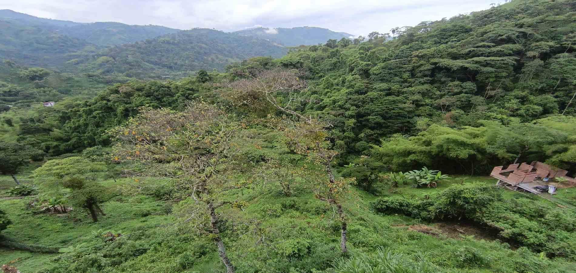 Foto de Lote / terreno en Venta en Vereda minitas , Manizales - 22 - 279068548