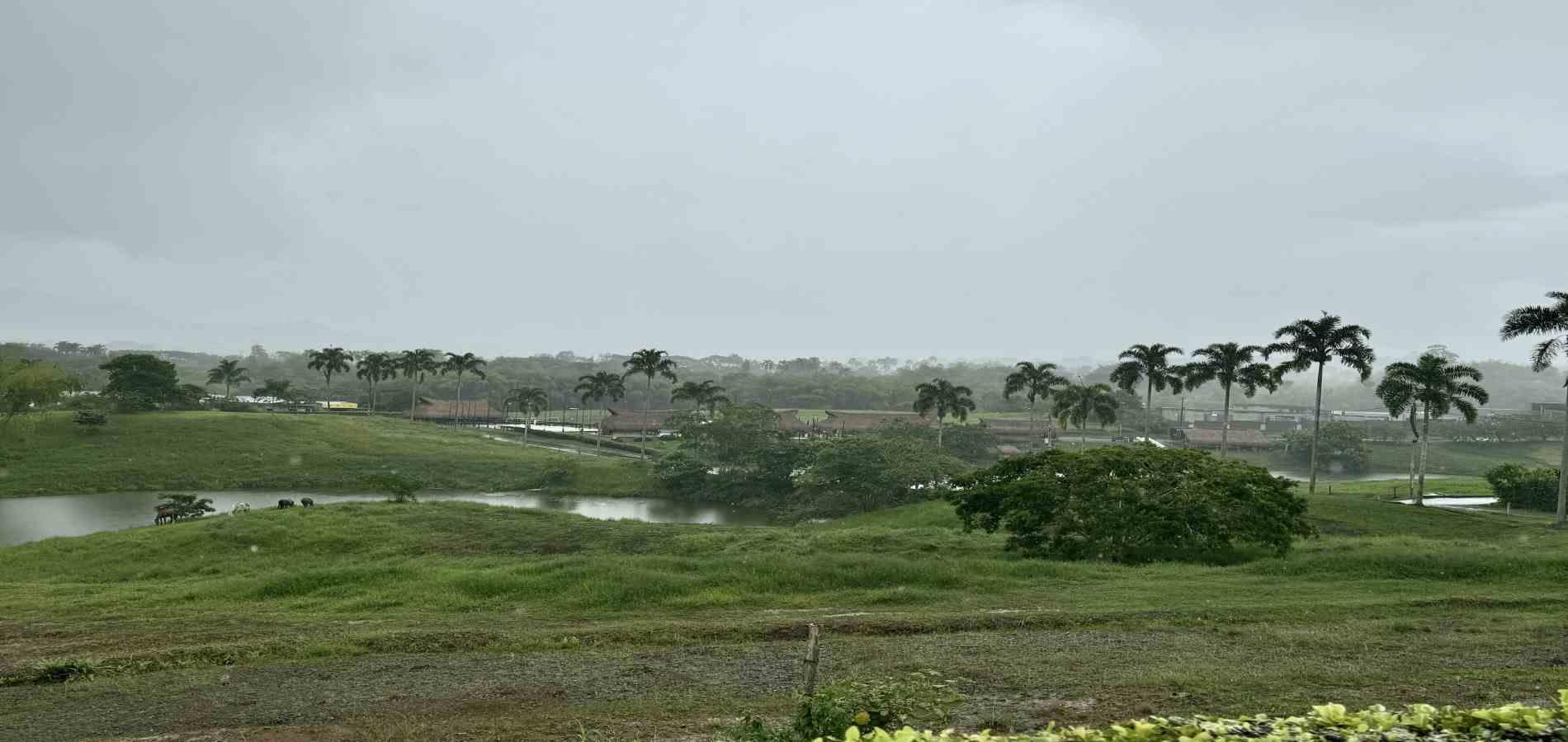 Foto de Lote / terreno en Venta en Cerritos, Pereira - 6 - 279059921